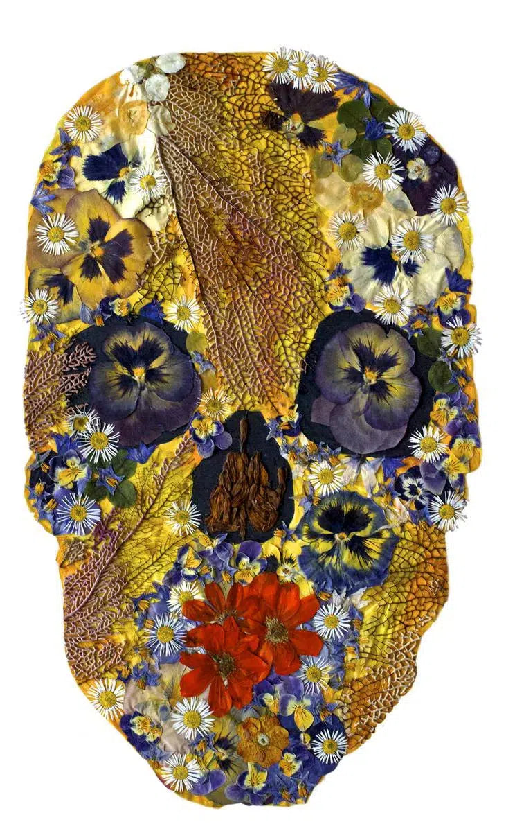 Skull, by Amanda McCauley-PurePhoto