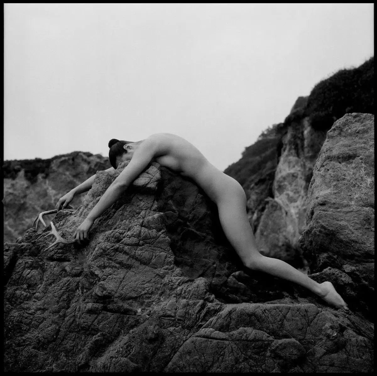 Slings+Arrows, by Javiera Estrada-PurePhoto