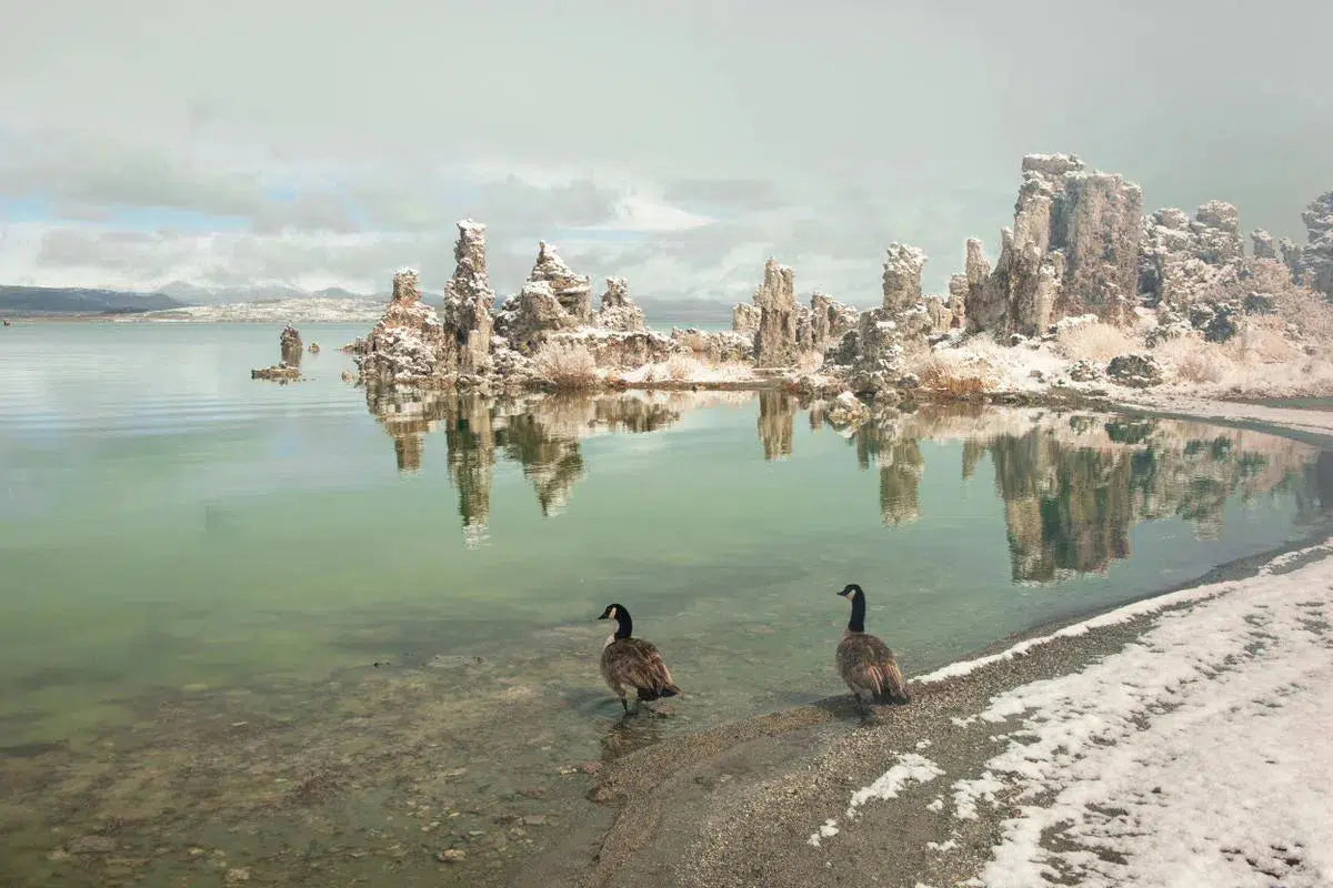 Snow Storm at Mono Lake #1, by Garret Suhrie-PurePhoto
