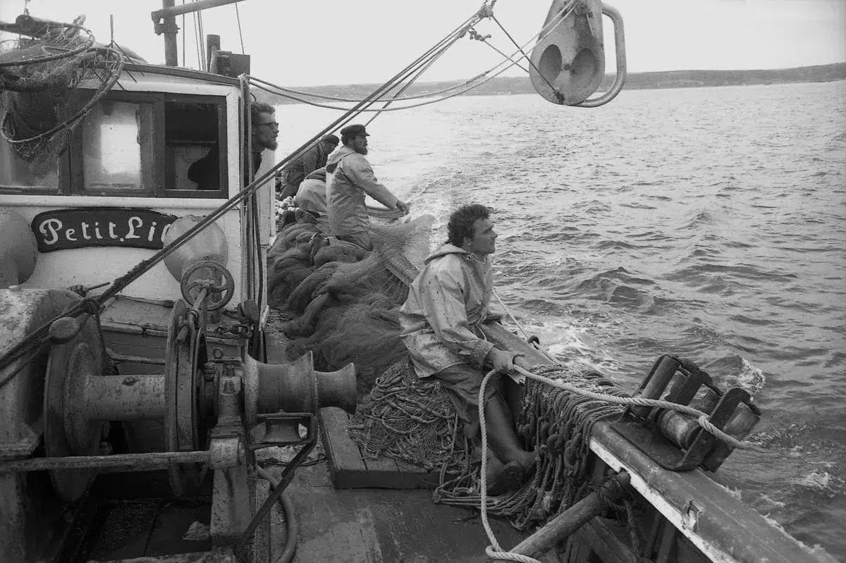 Spotted, by Raymond Martinot-PurePhoto