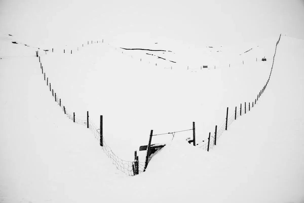 Stark Snowscape #1, by Garret Suhrie-PurePhoto