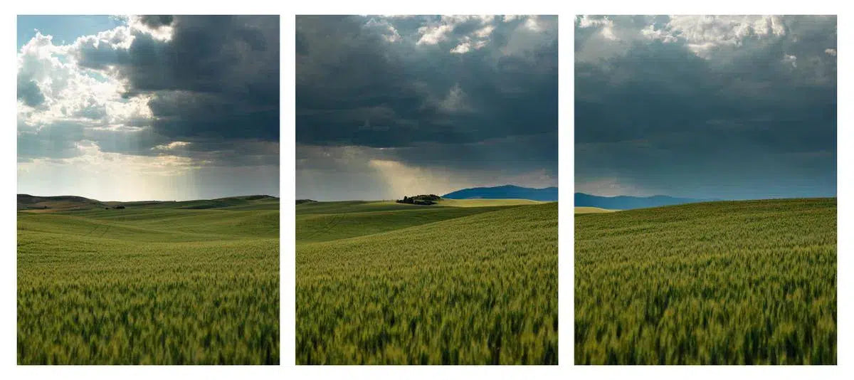 Storm Over Palouse Triptych, by Dale Hedden-PurePhoto