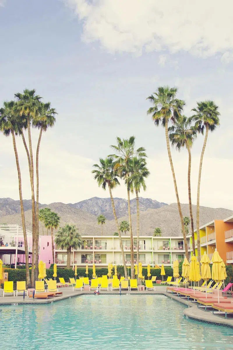 Swimming at the Saguaro, by Irene Suchocki-PurePhoto