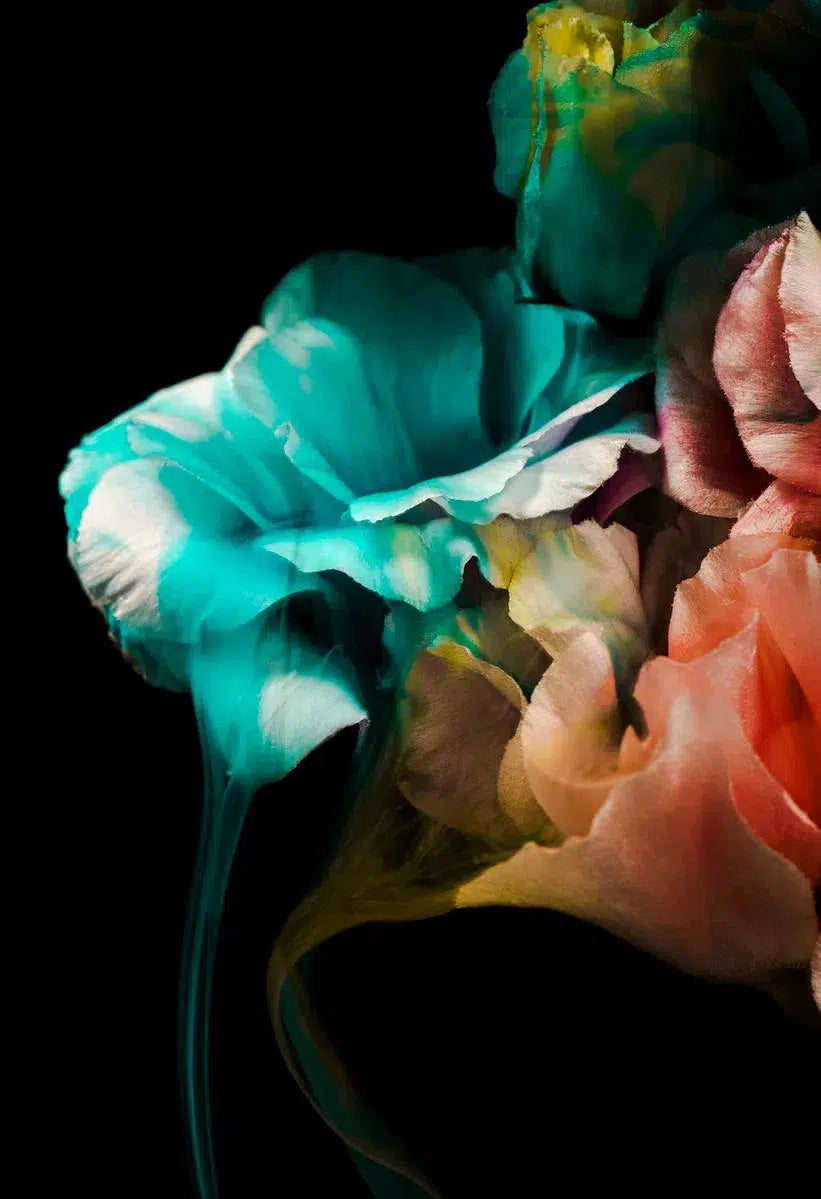 Tainted Love, by Javiera Estrada-PurePhoto