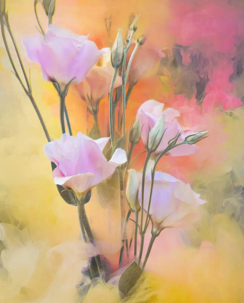 Tease Me, by Javiera Estrada-PurePhoto