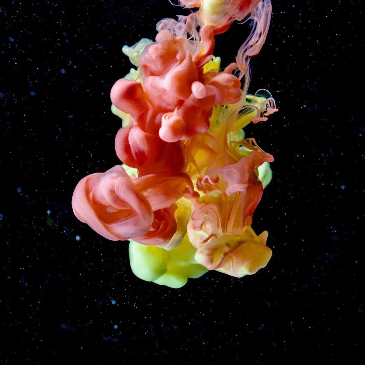 The Big Bang, by Javiera Estrada-PurePhoto