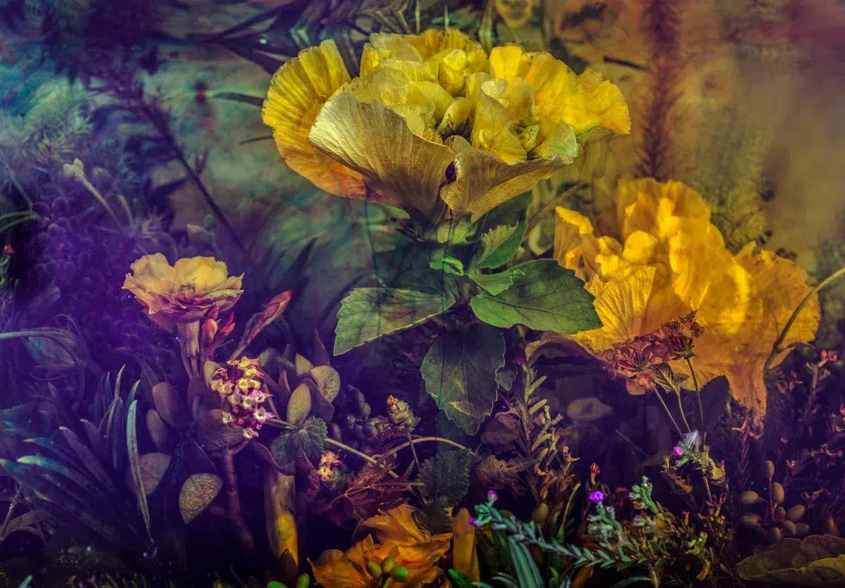 The Botanical Garden, by Javiera Estrada-PurePhoto
