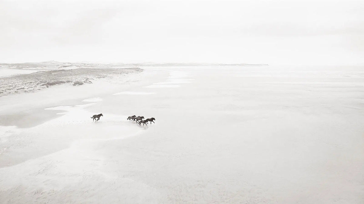 The Great Escape, by Drew Doggett-PurePhoto
