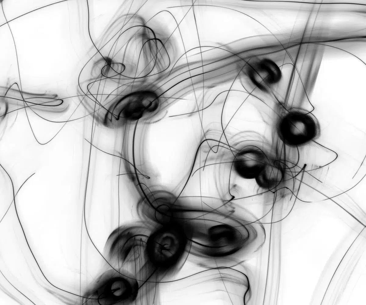 The Light Fandango, by Gillian Lindsay-PurePhoto