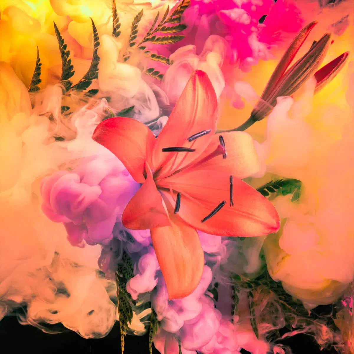 The Miami, by Javiera Estrada-PurePhoto