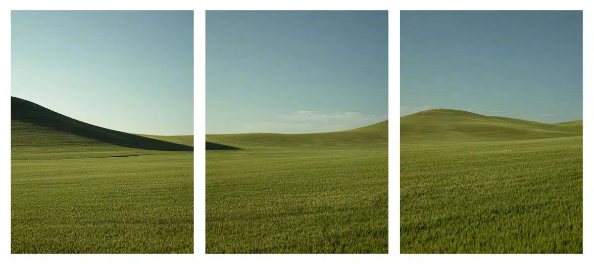 The Mountain & The Mole Hill Triptych, by Dale Hedden-PurePhoto