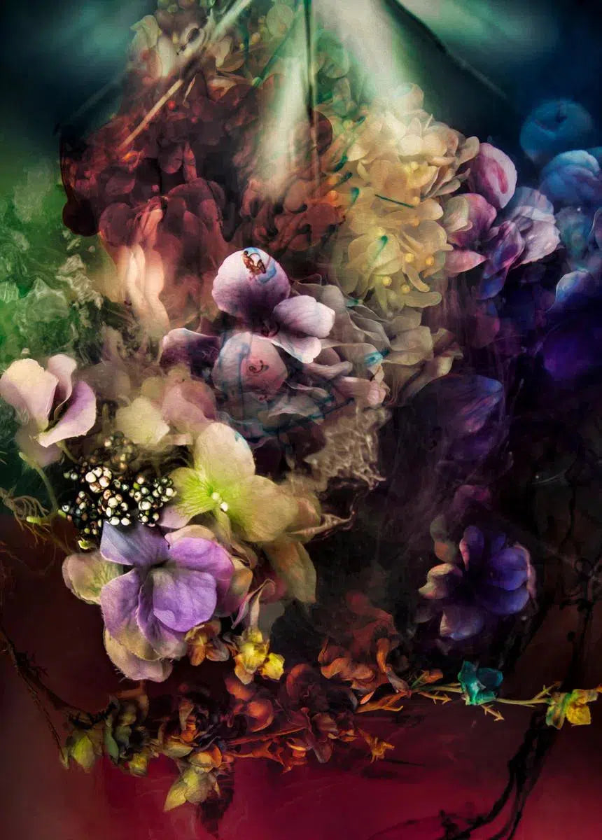 The Night Blossoms, by Javiera Estrada-PurePhoto