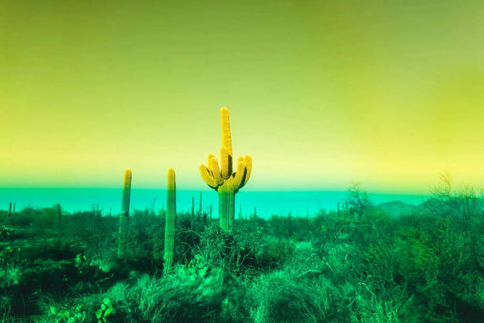The Sea in the Desert, by Javiera Estrada-PurePhoto