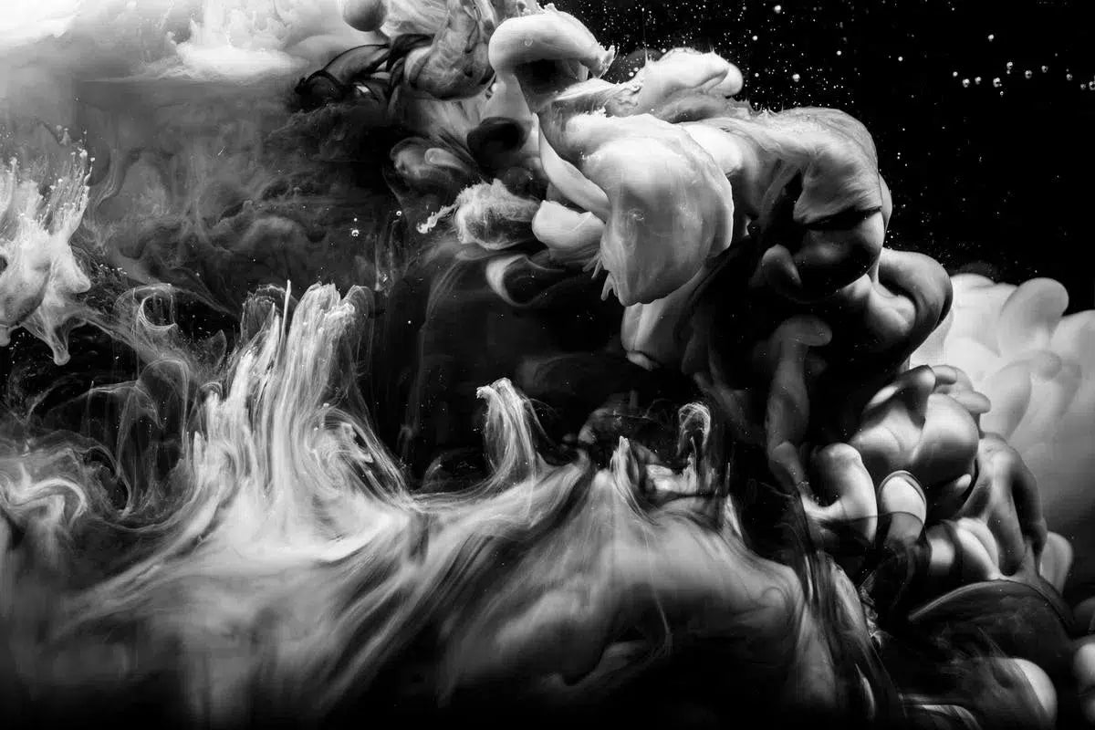 The Sounds of Music, by Javiera Estrada-PurePhoto