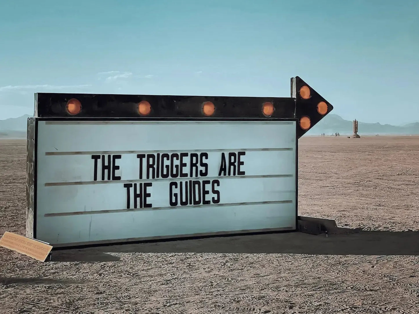 The Triggers Are The Guides, by Olivia Steele-PurePhoto