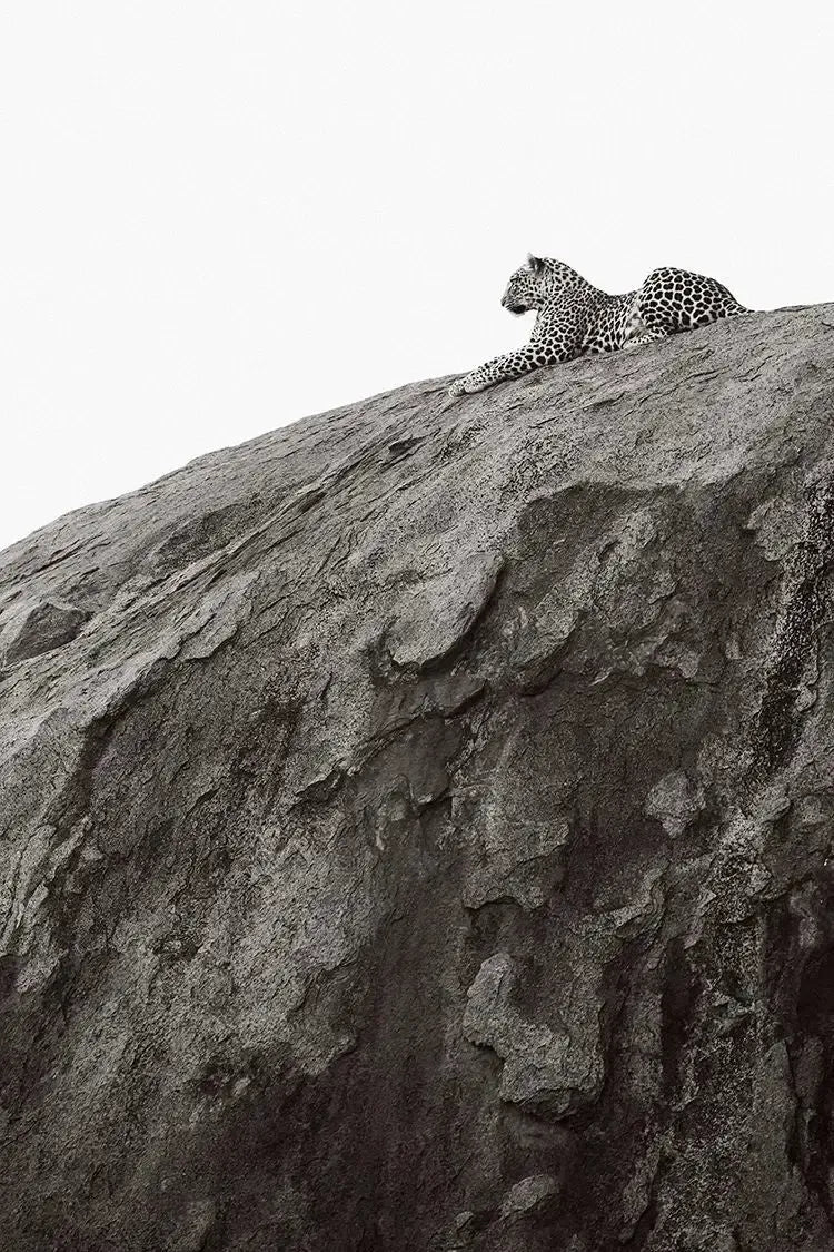 The Watch, by Drew Doggett-PurePhoto