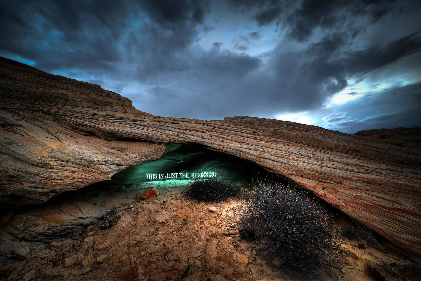 This Is Just The Beginning, by Olivia Steele-PurePhoto