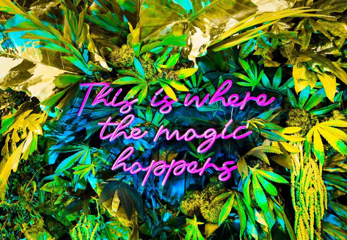 This is Where the Magic Happens-10, by Javiera Estrada-PurePhoto