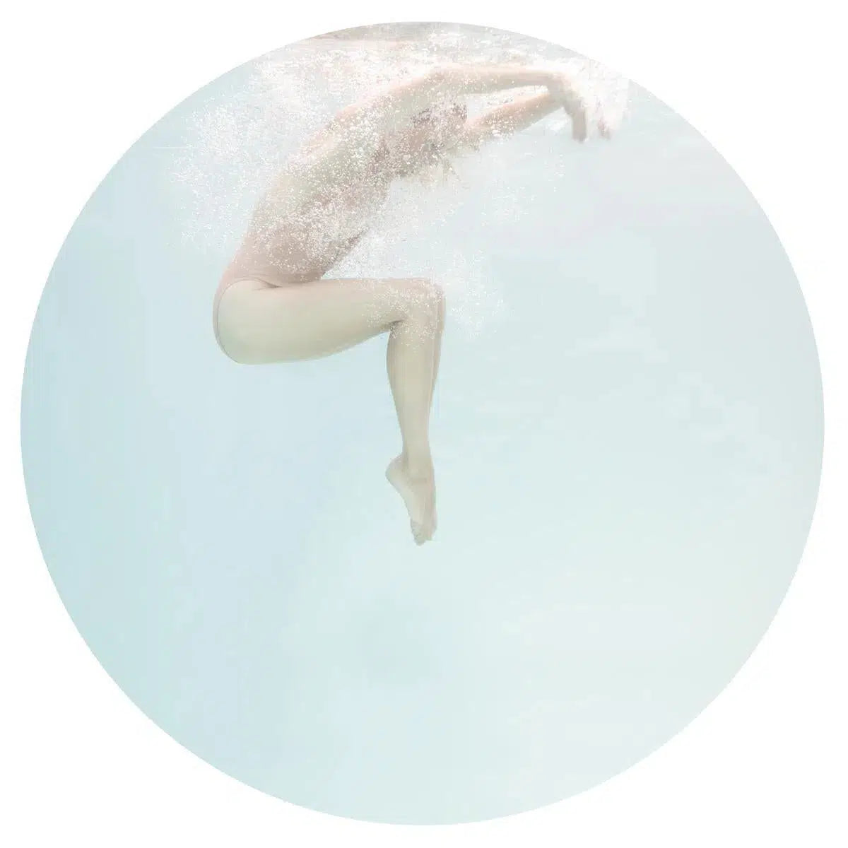 Thorn, by Mallory Morrison-PurePhoto