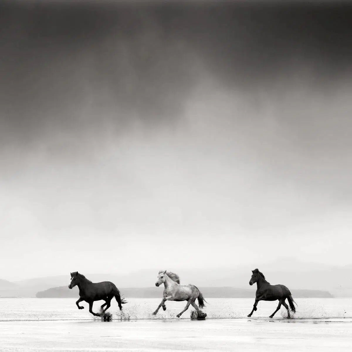 Three Horses, Iceland, by Jonathan Chritchley-PurePhoto