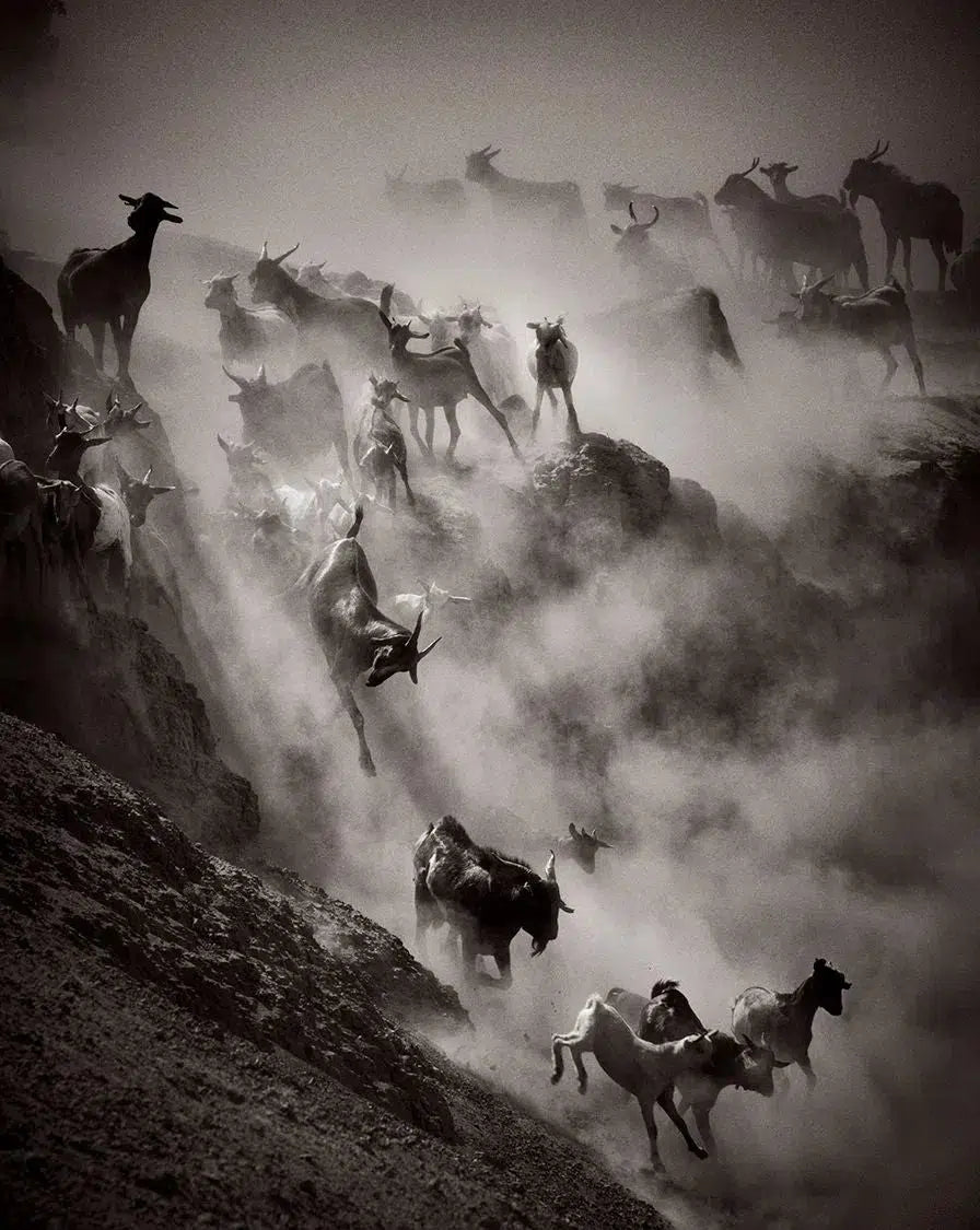 Thunder, by Drew Doggett-PurePhoto