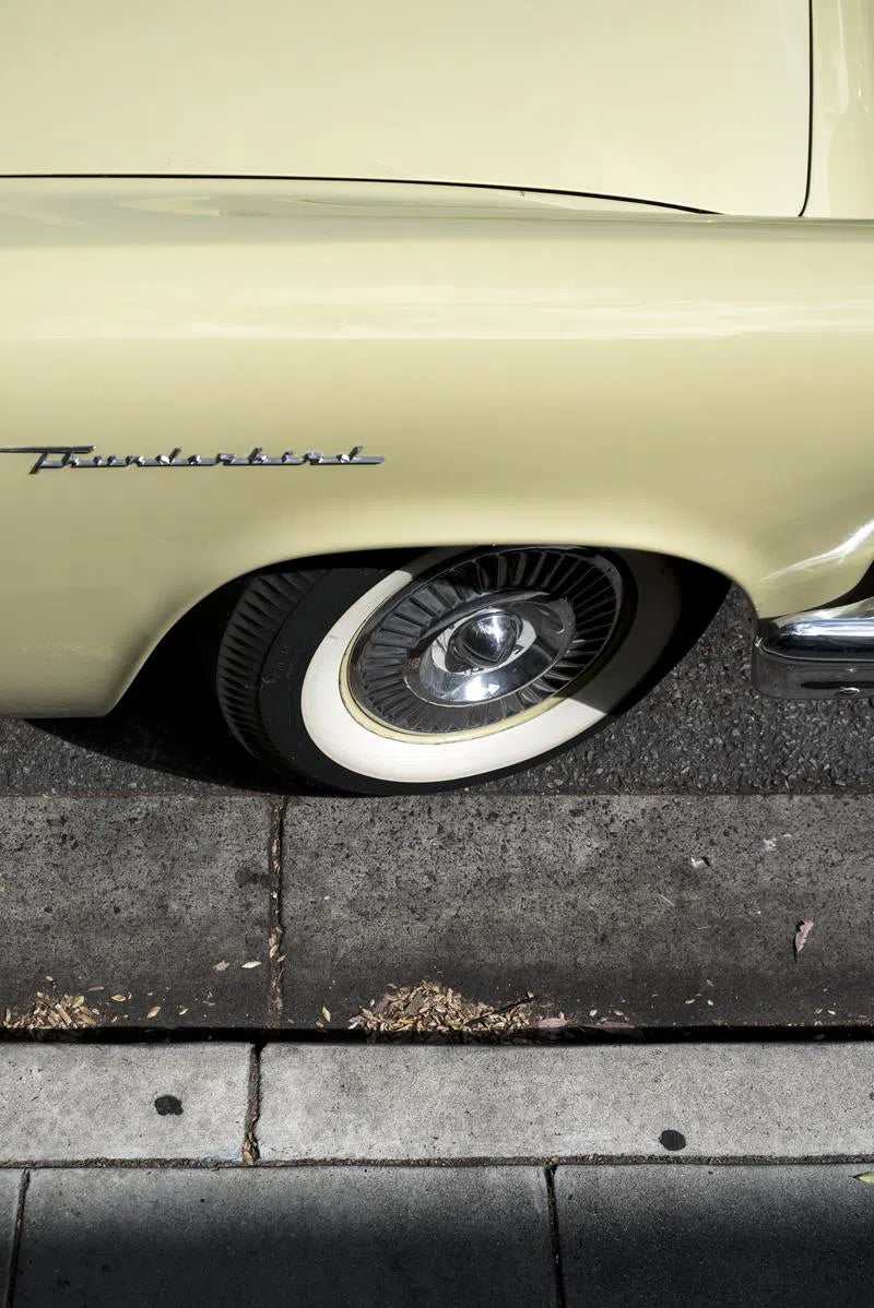 Thunderbird Yellow, by Jens Ochlich-PurePhoto