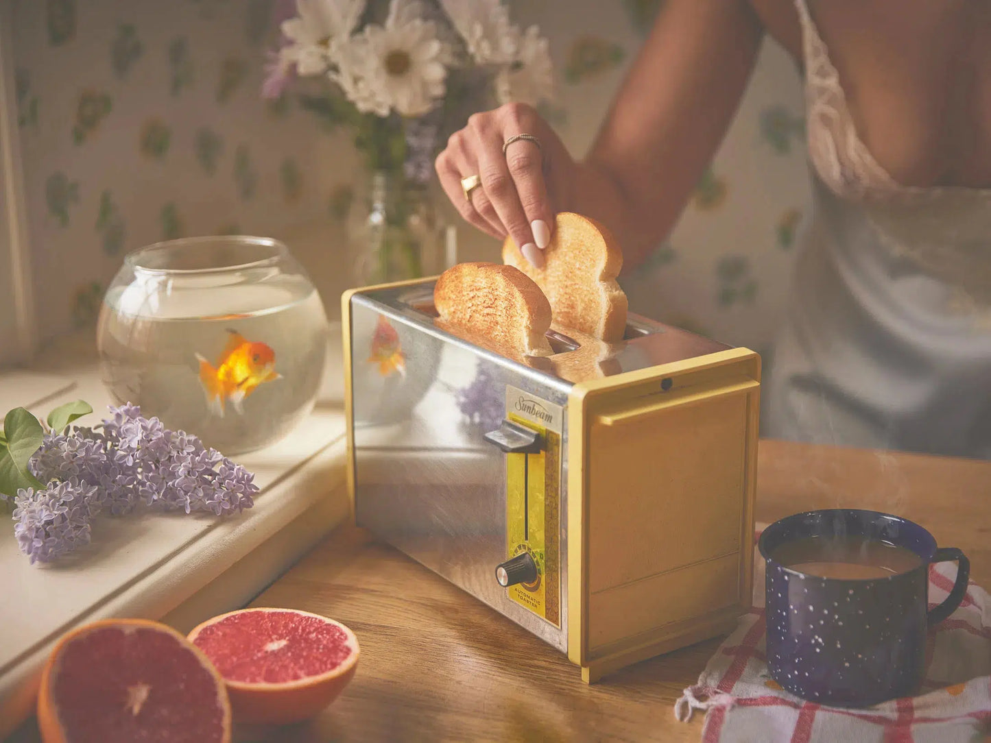 Toaster and Fish, by Peter Andrew-PurePhoto