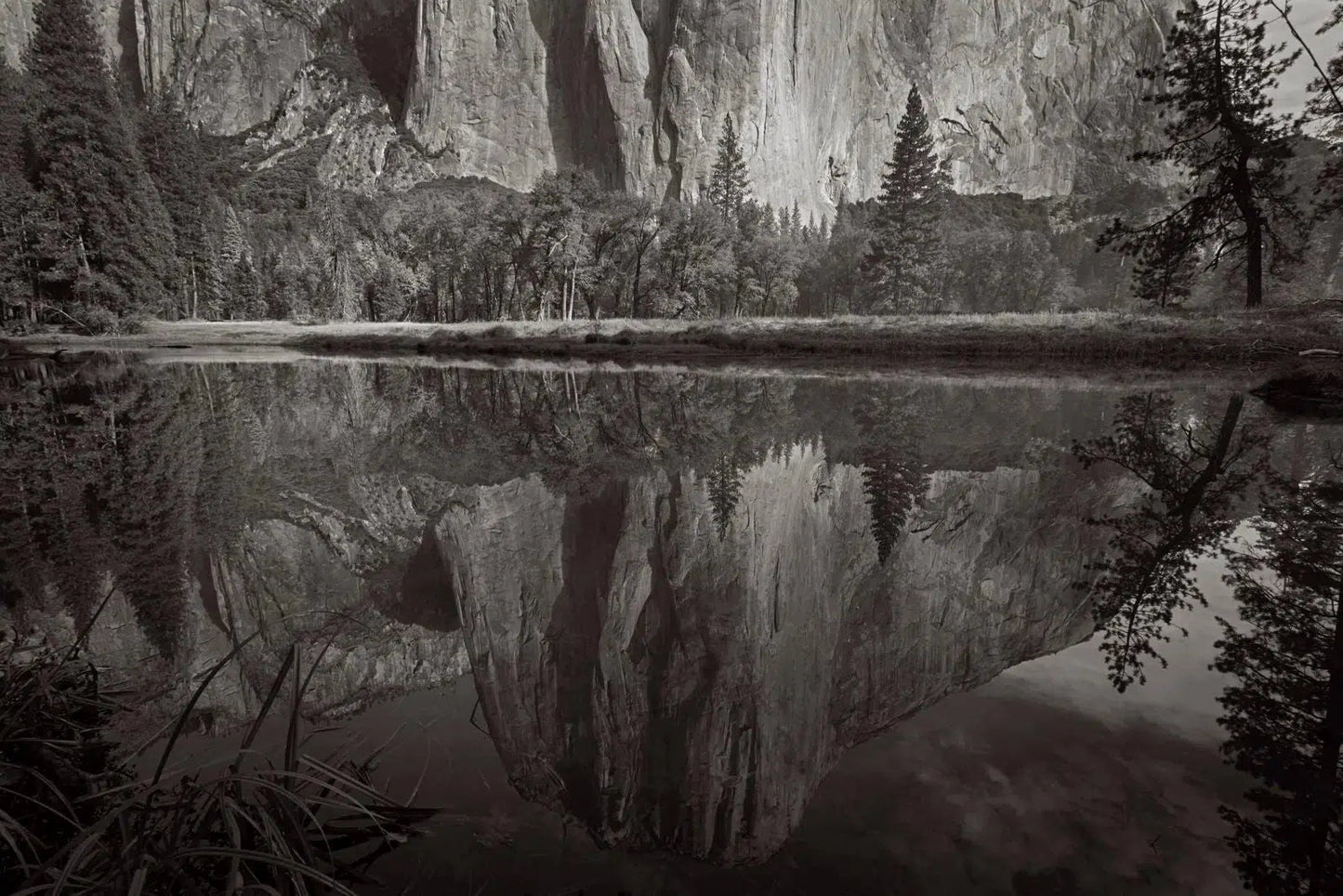 Transcendence, by Drew Doggett-PurePhoto