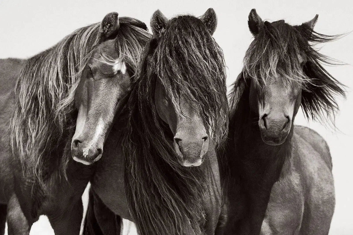Trinity, by Drew Doggett-PurePhoto
