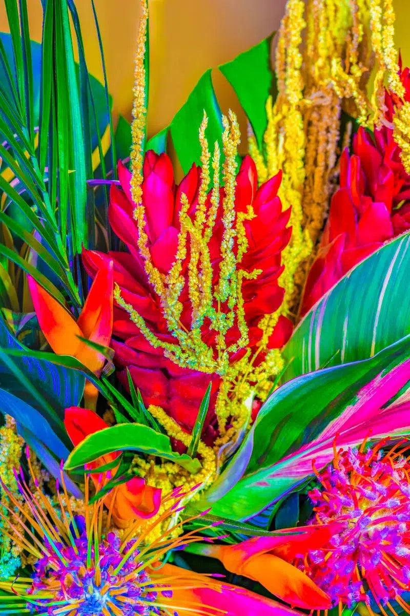 Tropical Nights, by Javiera Estrada-PurePhoto
