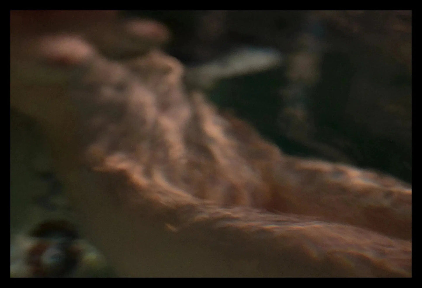 Underwater Nude I, Framed-PurePhoto