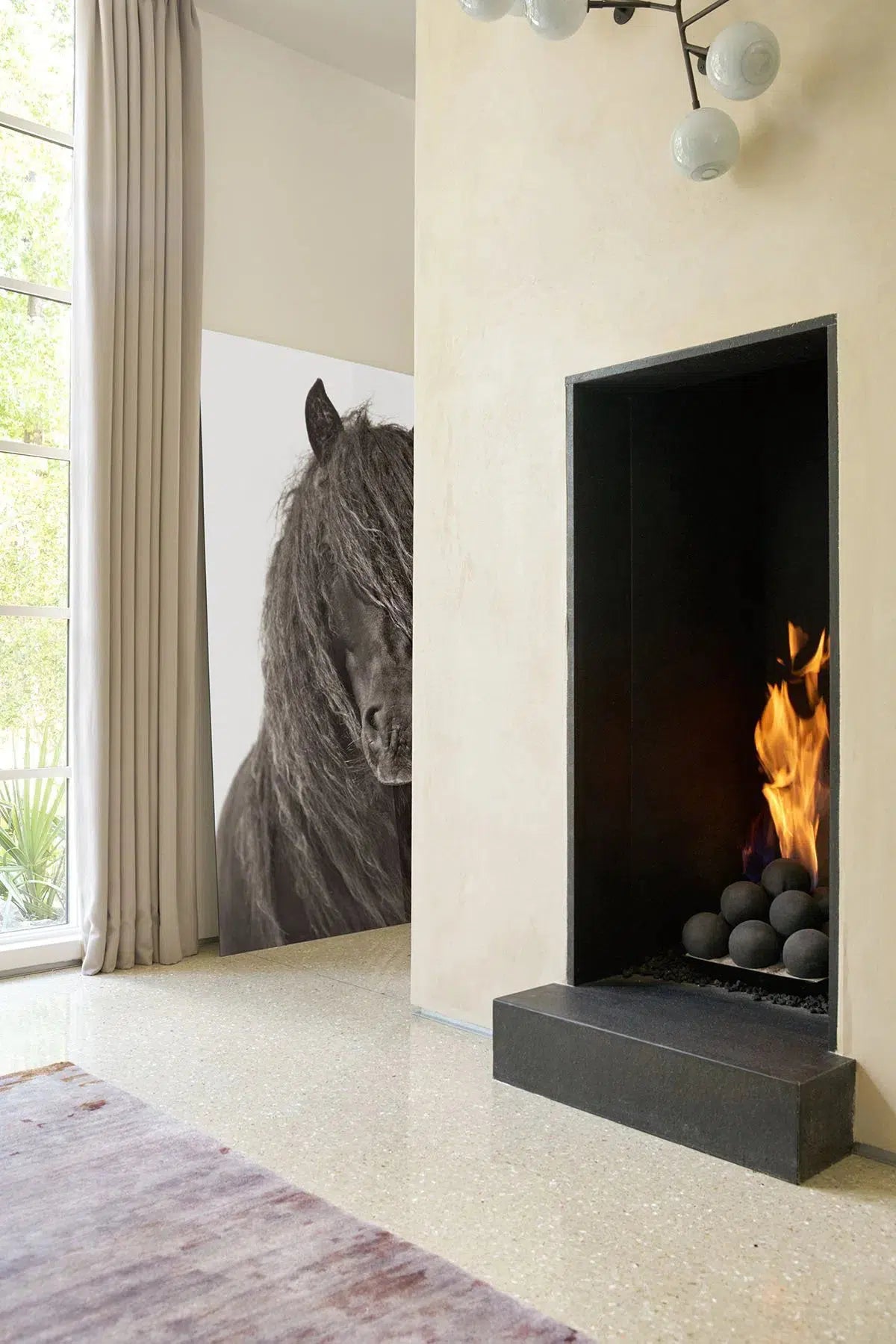 Untamed, by Drew Doggett-PurePhoto