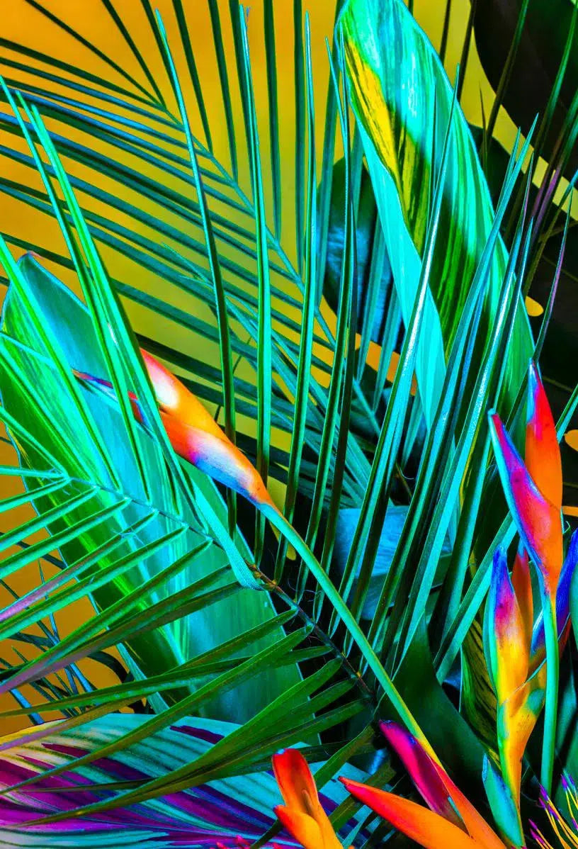 Verde, by Javiera Estrada-PurePhoto