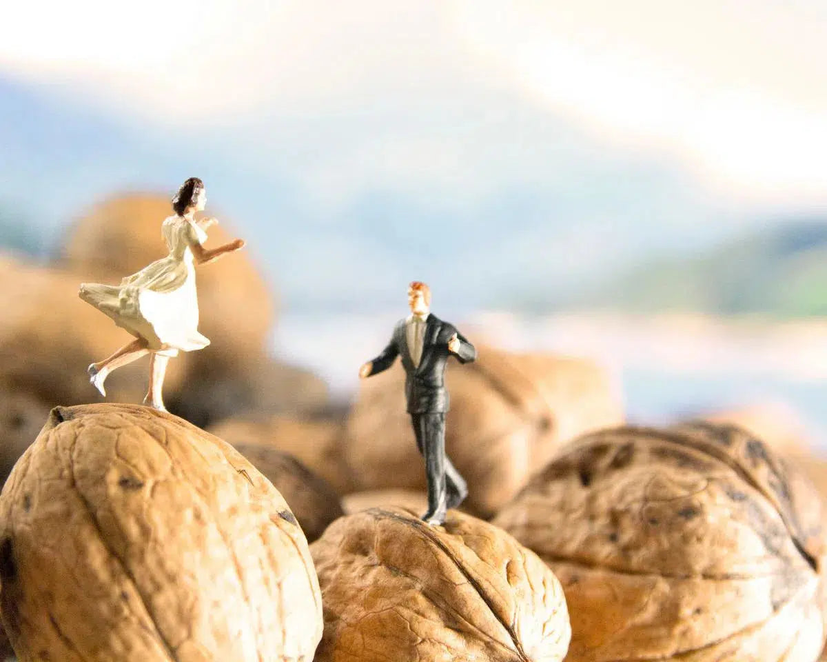 Walnut Couple, by Matthew Carden-PurePhoto