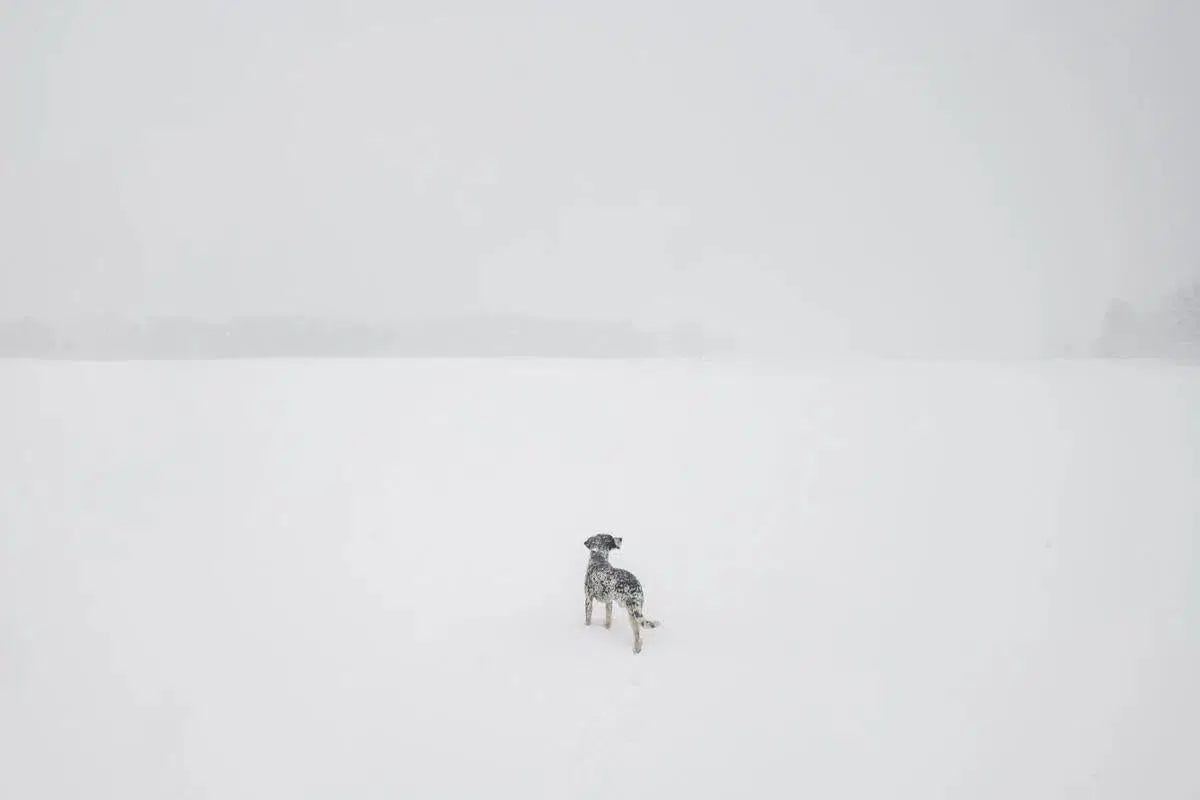 White Out, by Garret Suhrie-PurePhoto
