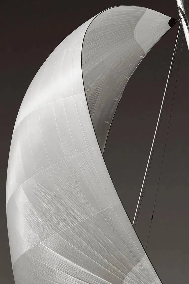 Windswept, by Drew Doggett-PurePhoto