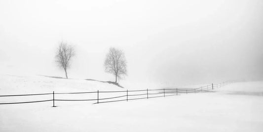 Winter 1, by Ann Dahlgren-PurePhoto