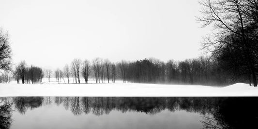 Winter 2, by Ann Dahlgren-PurePhoto
