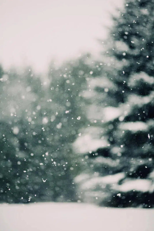 Winter Daydream #3, by Alicia Bock-PurePhoto