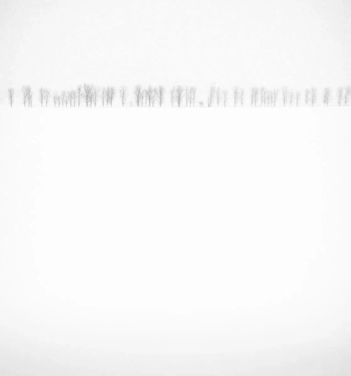 Winterly Haiku 2388, by Andrei Baciu-PurePhoto