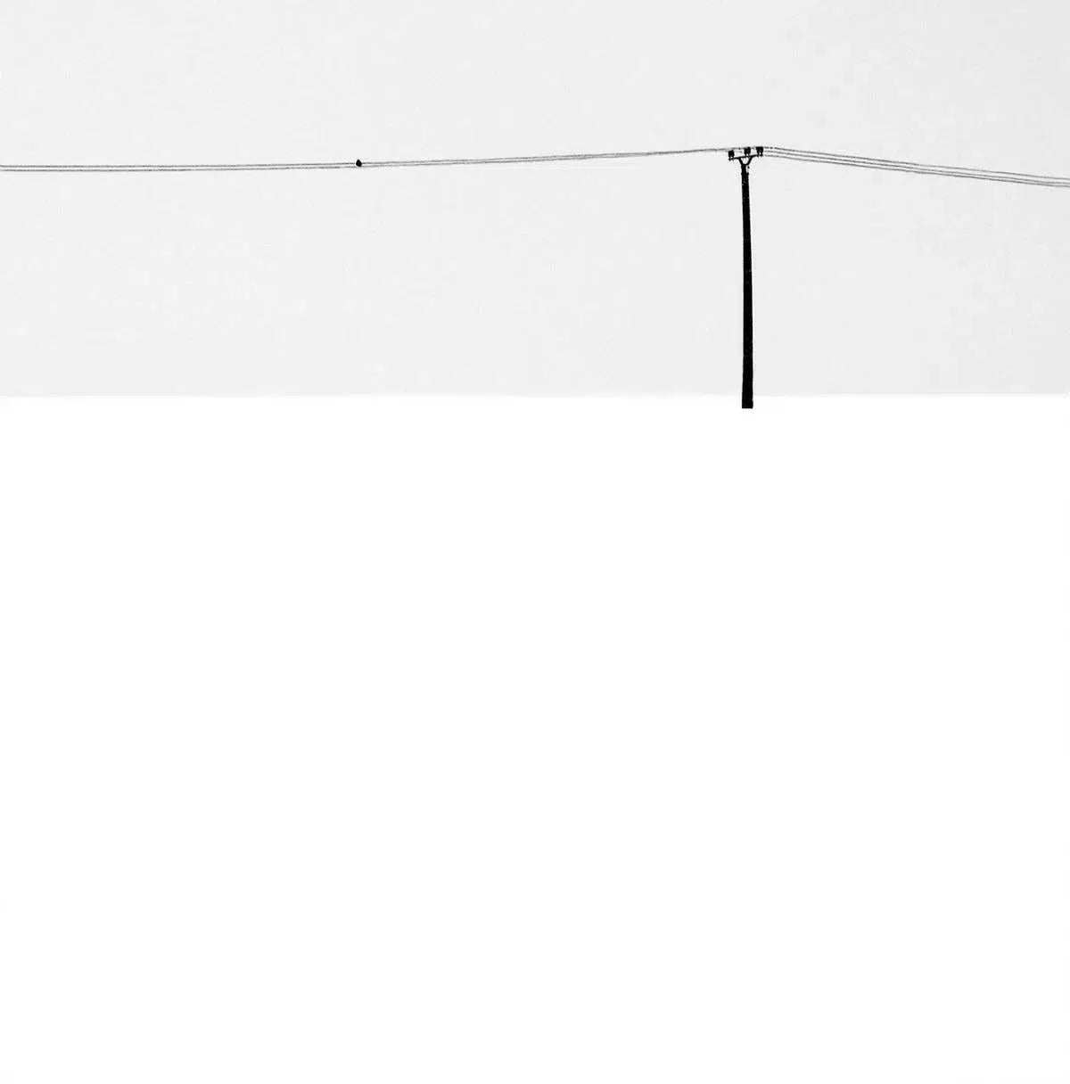 Winterly Haiku 4550, by Andrei Baciu-PurePhoto