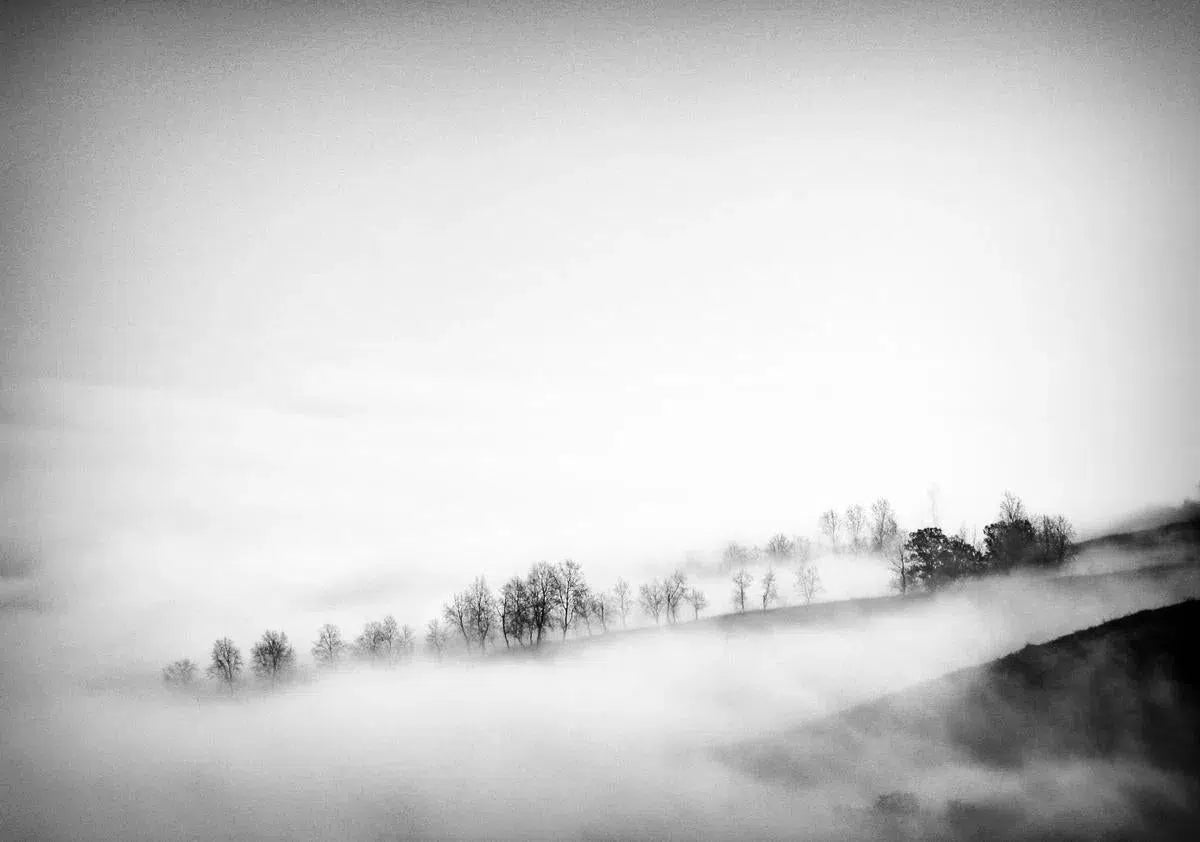 Winterly Haiku 6747, by Andrei Baciu-PurePhoto