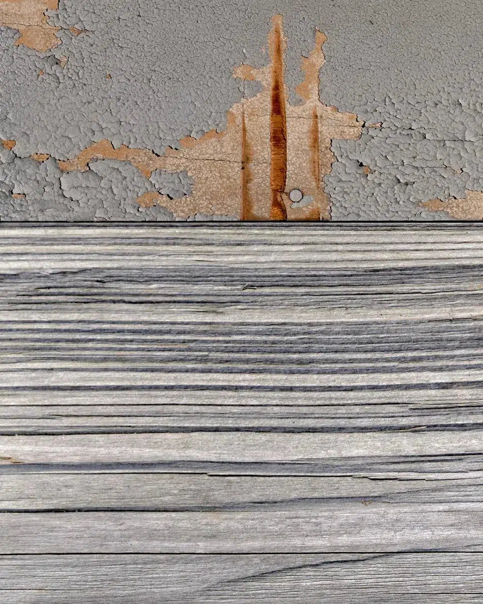 Wood That Could, by Gillian Lindsay-PurePhoto