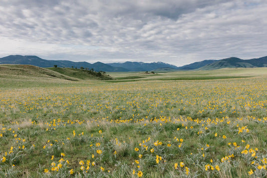 Saskatchewan Through the Lens of Paul Edmondson