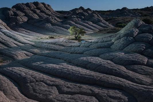 Earth Week - Celebrating the Textures of Earth