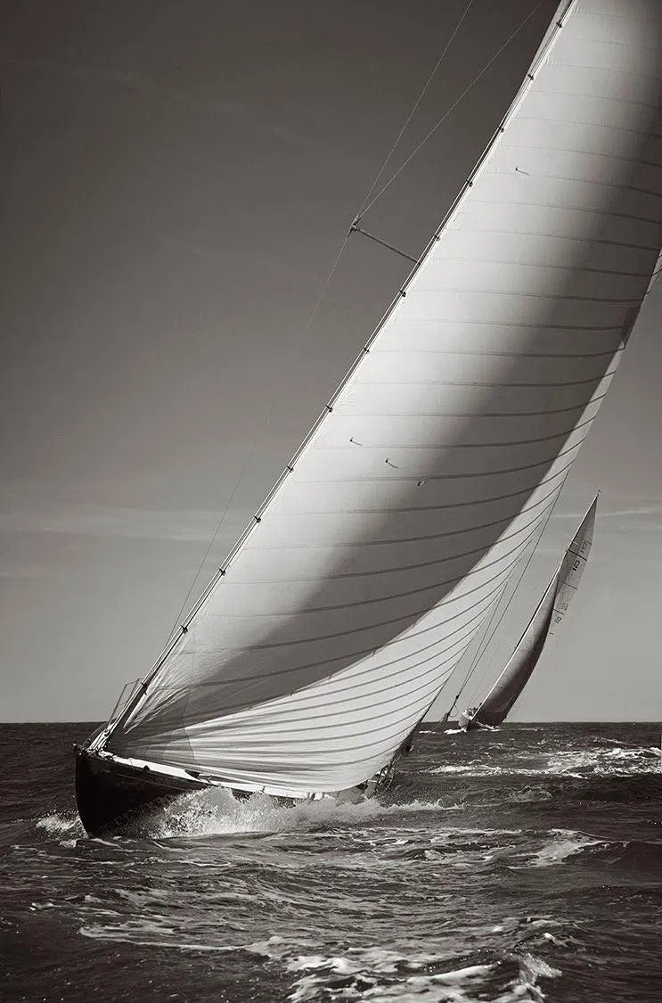Sail: Majesty at Sea