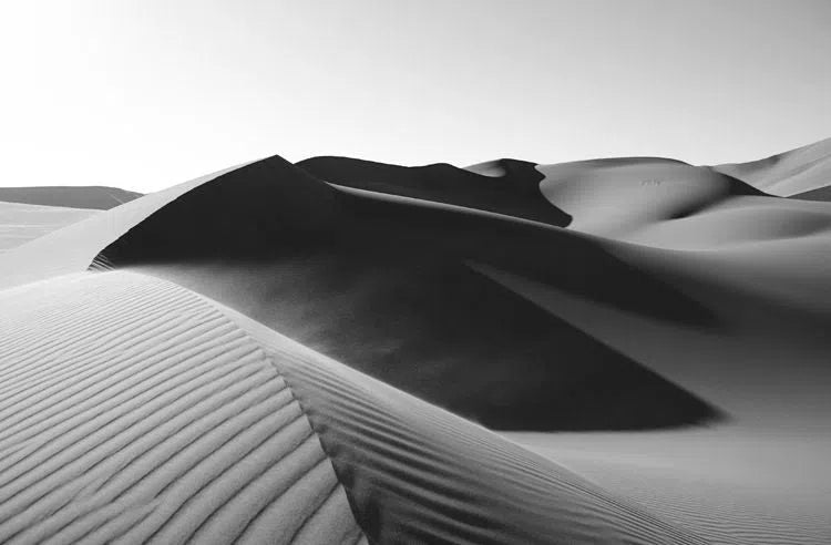 Dunes: Landscapes Evolving