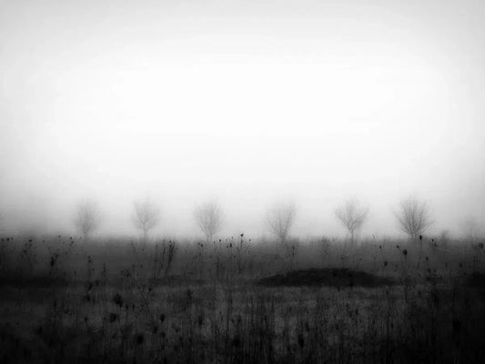 6 1, by Andrei Baciu-PurePhoto