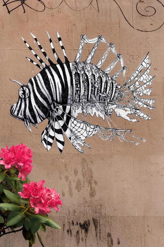 A Fish Out of Water, by Gillian Lindsay-PurePhoto