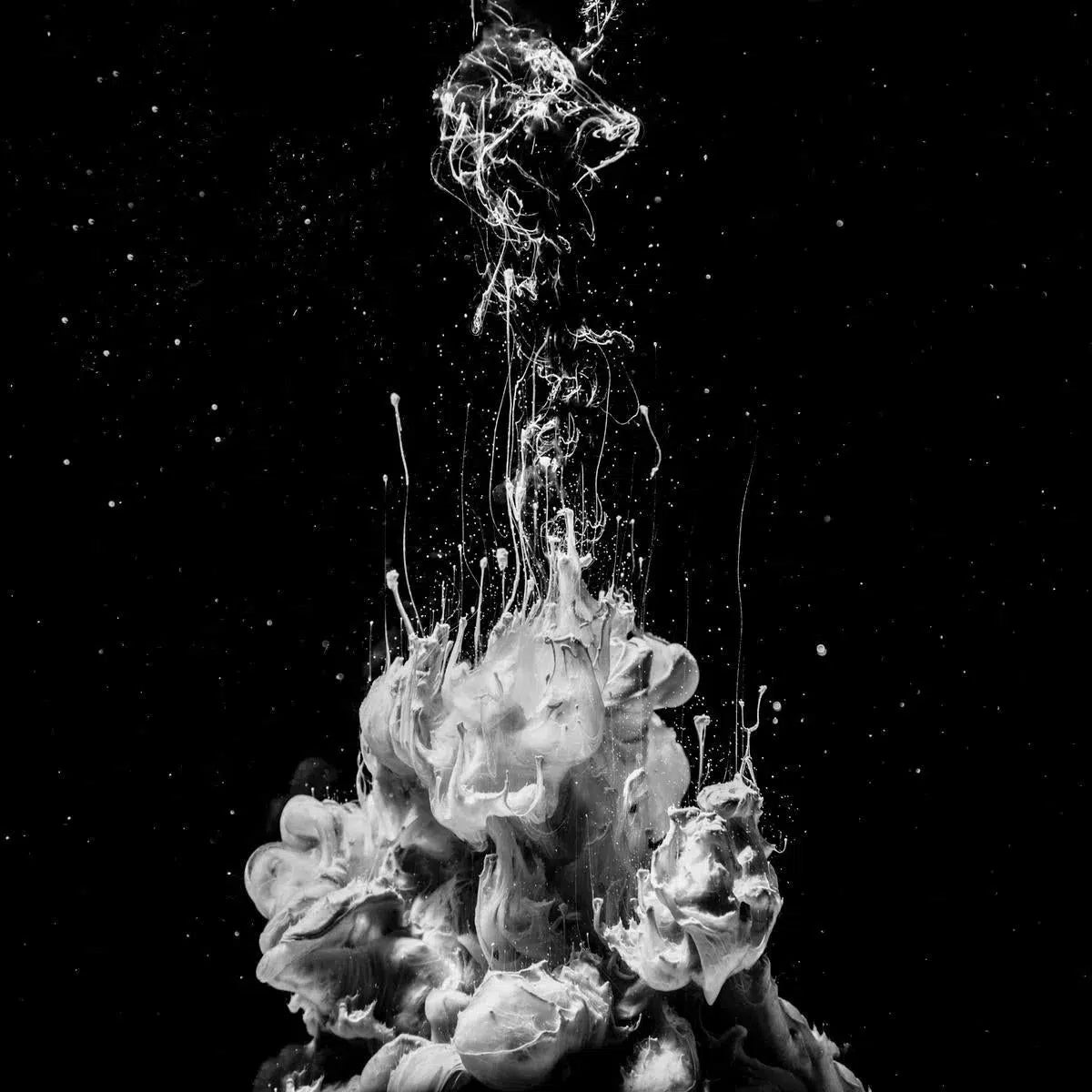 A Never Ending Story, by Javiera Estrada-PurePhoto